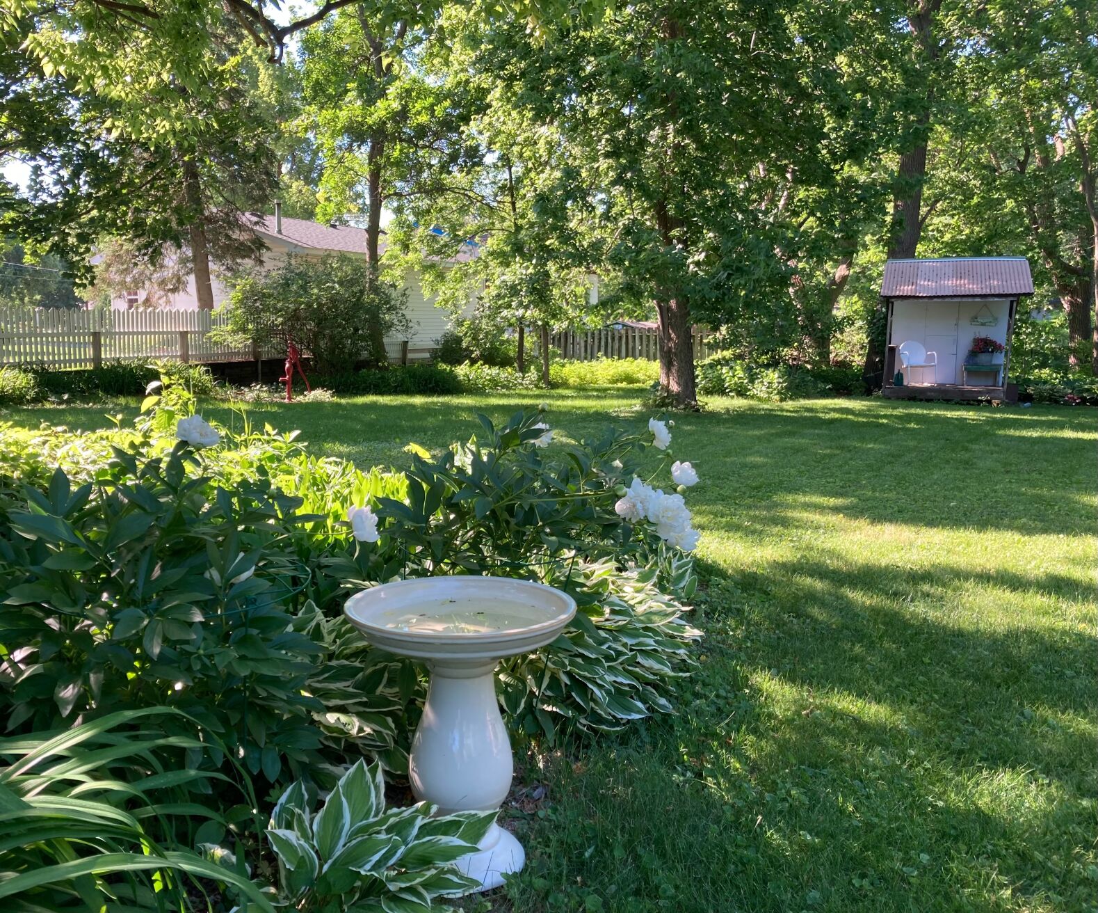Garden6.jpeg